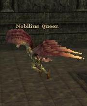 Nobilius Queen